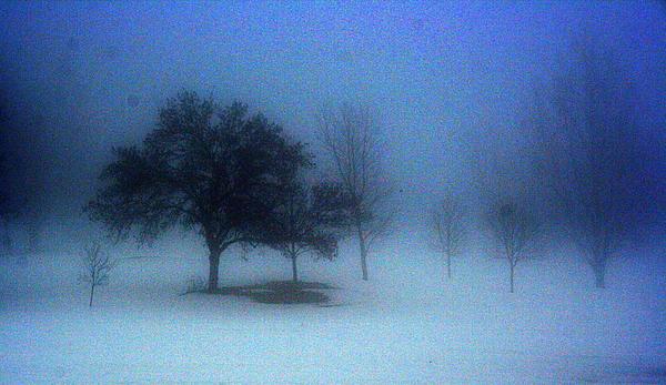 Love me in the mist by Julie Lueders Love me in the mist by Julie Lueders