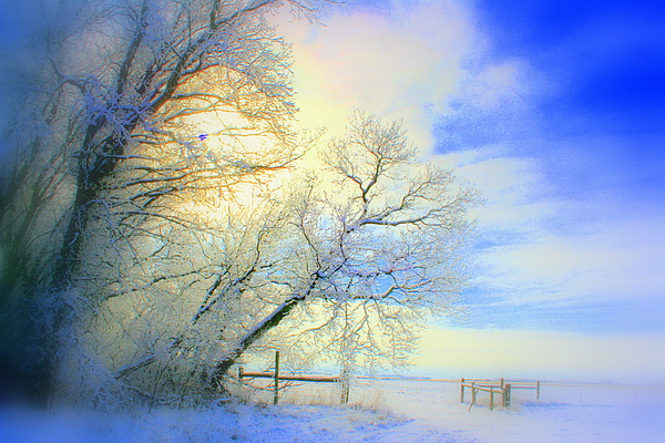 Winters Pretty Presents by Julie Lueders Winters Pretty Presents by Julie Lueders
